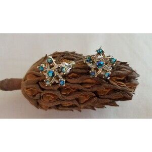 Estate / Vintage / Coro / Aurora Borealis / Clip On Earrings